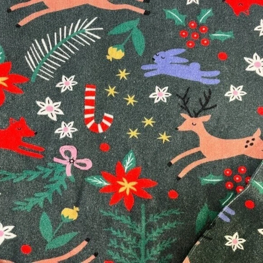 Hanna Andersson Winter Wonderland Pajama Cotton  Set Long Sleeve 2-Piece Size 10
